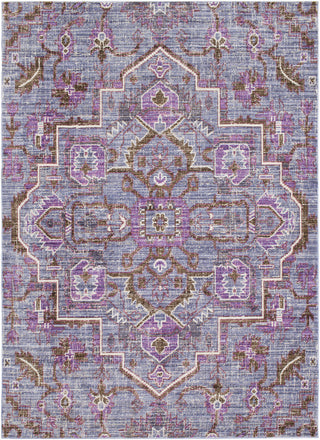 Surya Germili GER-2317 Purple/Brown Area Rug main image