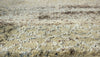 Dalyn Galli GG9 Desert Area Rug Detail Image