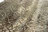 Dalyn Galli GG9 Desert Area Rug Detail Image