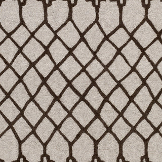 Artistic Weavers Ghana Jayden Light Gray/Chocolate Brown Area Rug Swatch