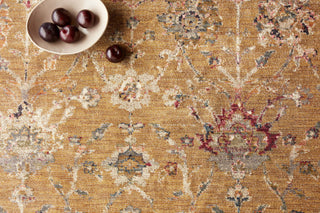 Loloi Giada GIA-05 Gold / Multi Area Rug Close Up