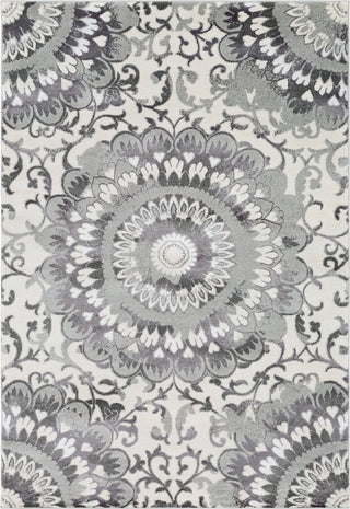 Surya Glimmer GLI-1008 Light Gray Medium Cream Area Rug main image