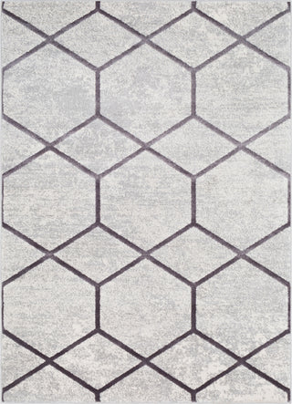 Surya Glimmer GLI-1022 Medium Gray Light Cream Area Rug main image