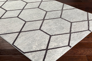 Surya Glimmer GLI-1022 Area Rug Corner Image Feature