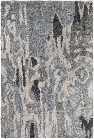 Surya Gemini GMN-4008 Charcoal Area Rug 2' x 3'