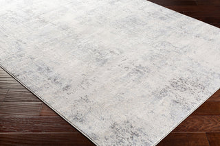 Surya Genesis GNS-2305 Silver Gray White Pale Blue Medium Denim Area Rug Corner Image
