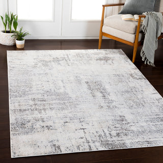 Surya Genesis GNS-2306 Area Rug Room Image Feature