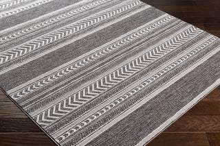 Surya Genesis GNS-2308 Area Rug Corner Shot Feature