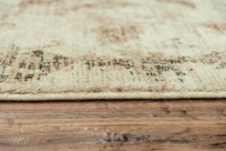 Rizzy Gossamer GS084C Beige/Brown Area Rug