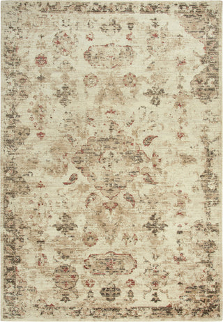 Rizzy Gossamer GS084C Beige/Brown Area Rug