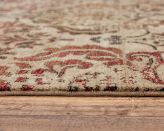 Rizzy Gossamer GS435C Beige/Brown Area Rug