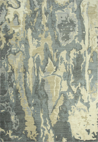 Rizzy Gossamer GS7896 Gray Area Rug main image