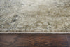 Rizzy Gossamer GS6800 Beige Area Rug Style Image