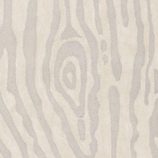 Artistic Weavers Geology Blake Light Gray/Ivory Area Rug Swatch