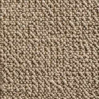 Dalyn Gorbea GR1 Latte Area Rug