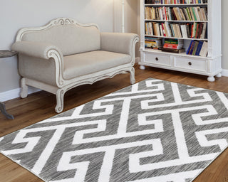 LR Resources Grace 81121 Gray Area Rug Alternate Image Feature