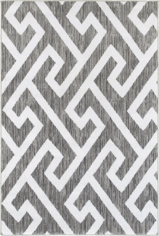 LR Resources Grace 81121 Gray Area Rug 