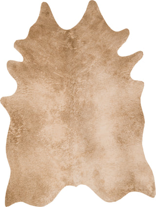 Loloi II Grand Canyon GC-09 Tan Area Rug Main Image