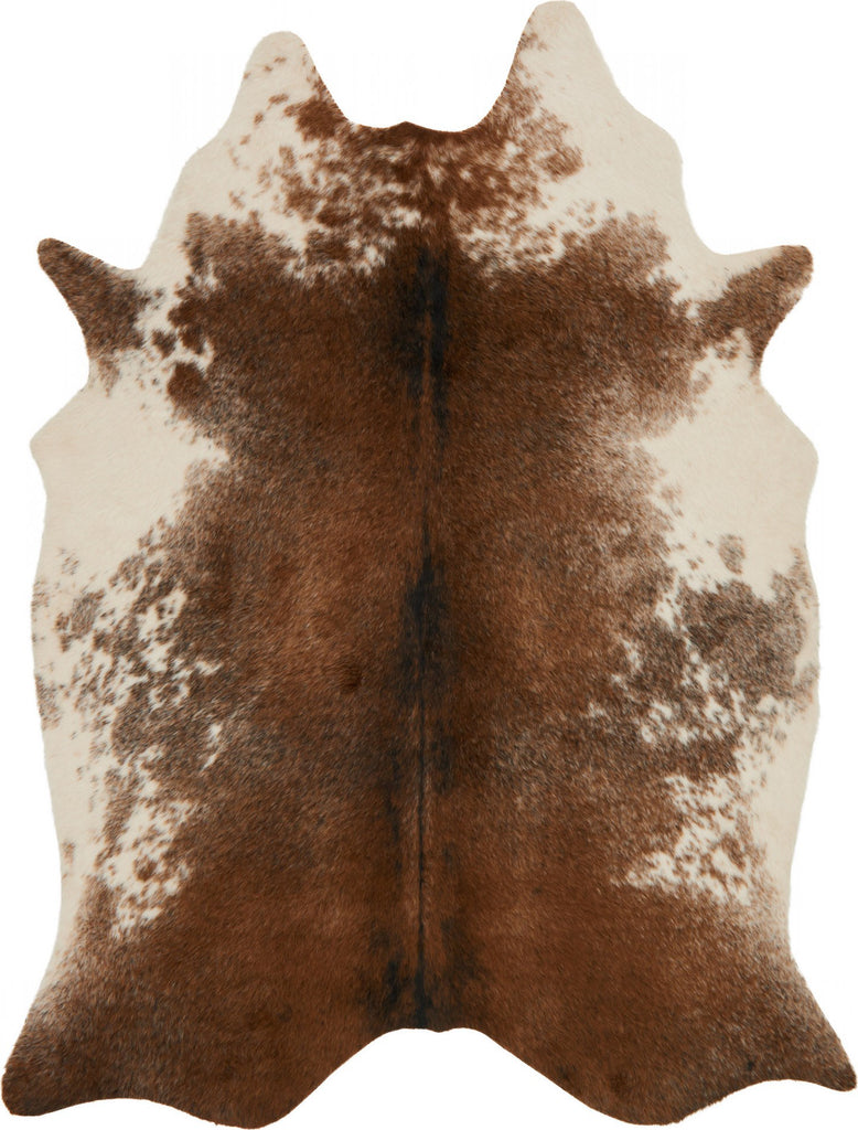 Loloi II Grand Canyon GC-14 Coffee/Ivory Area Rug Main Image