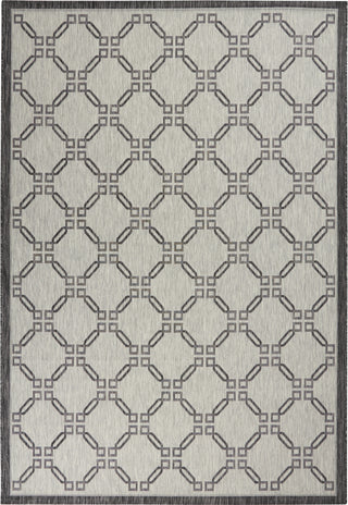 Nourison Garden Party GRD02 Ivory/Charcoal Area Rug