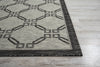 Nourison Garden Party GRD02 Ivory/Charcoal Area Rug