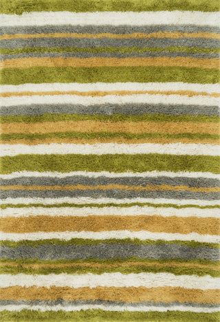 Loloi Garden Shag GN-04 Citron / Multi Area Rug Main