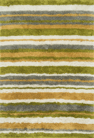 Loloi Garden Shag GN-04 Citron / Multi Area Rug 