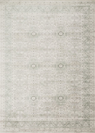 Loloi Griffin GF-07 Mist Area Rug main image