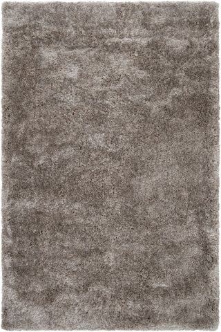 Surya Grizzly GRIZZLY-6 Light Gray Area Rug 5' x 8'