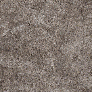 Surya Grizzly GRIZZLY-6 Area Rug