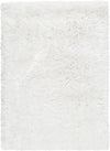 Surya Grizzly GRIZZLY-9 Ivory Area Rug 2' x 3'