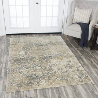 Rizzy Gossamer GS6800 Beige Area Rug Lifestyle Shot Feature