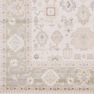 Surya Garnett GTT-3003 Ivory Machine Woven Area Rug Sample Swatch