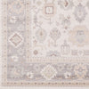 Surya Garnett GTT-3004 Ivory Machine Woven Area Rug Sample Swatch