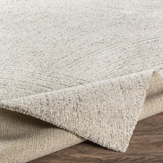 Livabliss Gavic GVC-2307 Area Rug