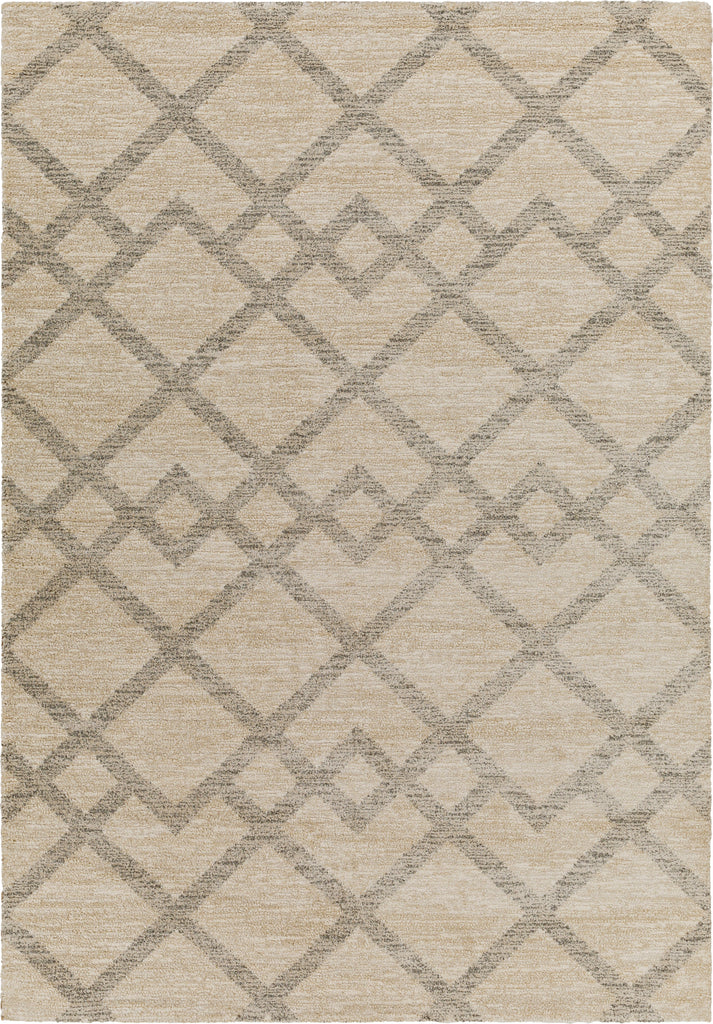 Surya Gavic GVC-2319 Area Rug main image