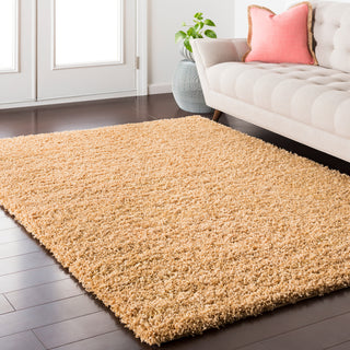 Surya Galaxy Shag GYS-4501 Area Rug Room Image Feature