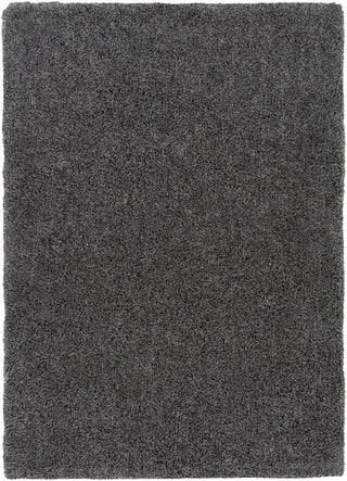 Surya Galaxy Shag GYS-4502 Area Rug main image