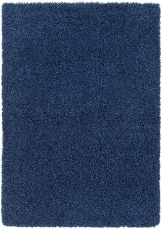 Surya Galaxy Shag GYS-4503 Area Rug main image