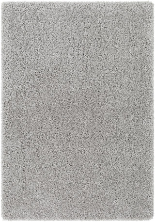 Surya Galaxy Shag GYS-4506 Area Rug main image