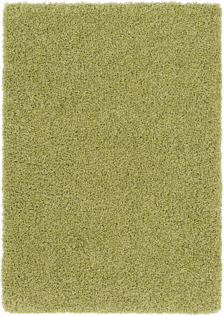 Surya Galaxy Shag GYS-4507 Area Rug main image