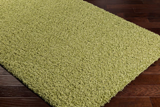 Surya Galaxy Shag GYS-4507 Area Rug Corner Image Feature