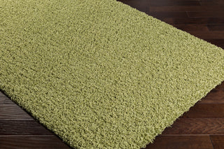 Surya Galaxy Shag GYS-4507 Area Rug Closeup