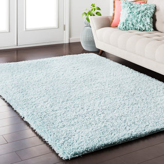 Surya Galaxy Shag GYS-4509 Area Rug Room Image Feature