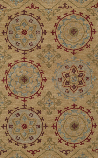 Momeni Habitat HB-11 Gold Area Rug main image