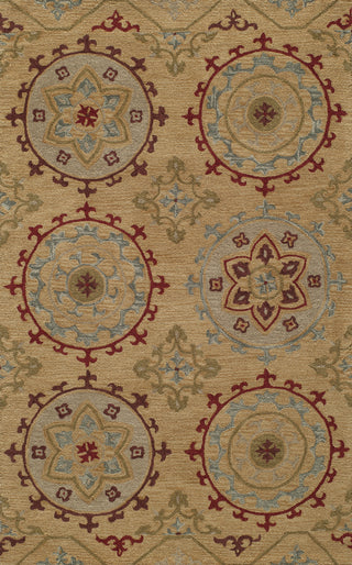 Momeni Habitat HB-11 Gold Area Rug Main