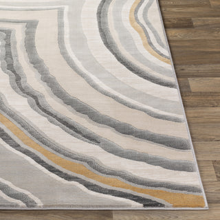 Livabliss Cash HAC-2312 Area Rug