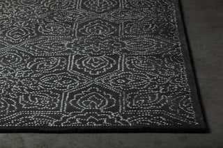 Chandra Hailee HAI-49600 Area Rug