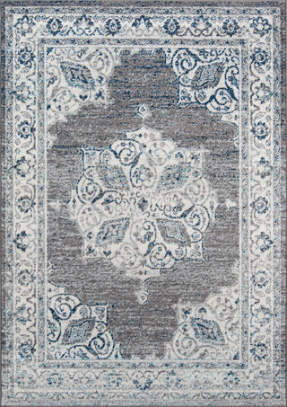 Momeni Haley HAL-7 Grey Area Rug main image