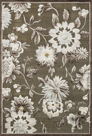 Loloi Halton HL-05 Light Brown / Beige Area Rug main image